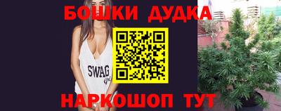 МДПВ Сланцы