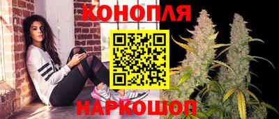apvp Севастополь