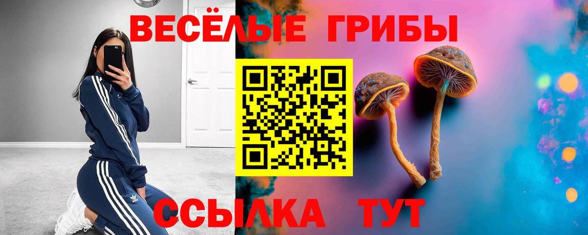 Новороссийск  Галлюциногенные грибы MAGIC MUSHROOMS  Псилоцибиновые грибы Psilocybine cubensis  Вход с VPN 