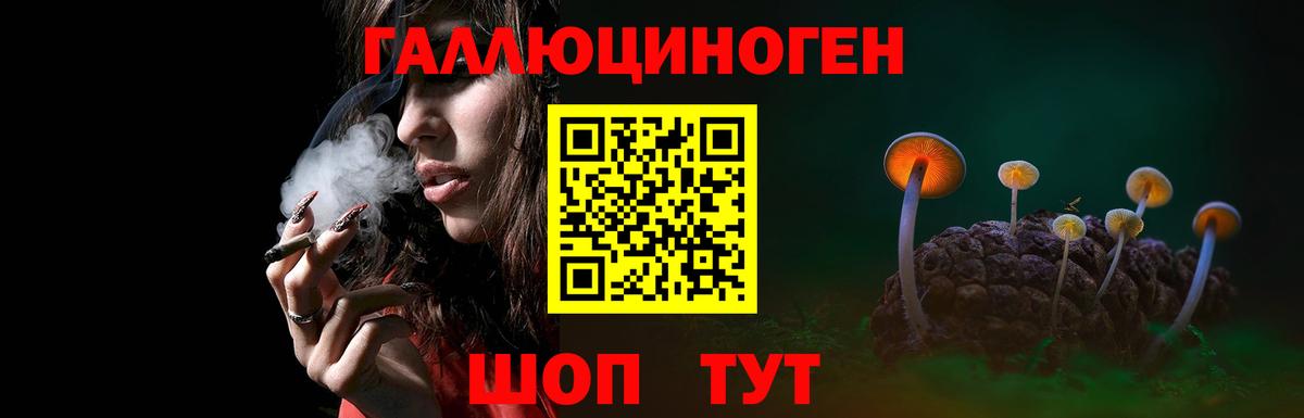 Галлюциногенные грибы прущие грибы Новороссийск